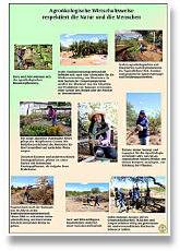 irpaa_jovens_reportagem_de.pdf